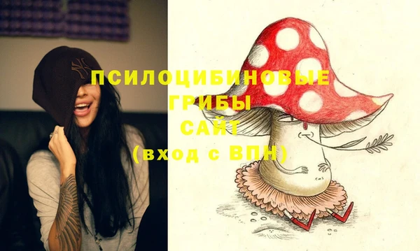 МДПВ Аркадак