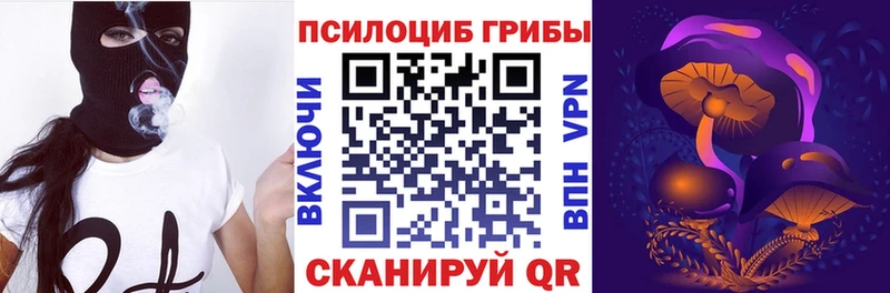 магазин Мирный Псилоцибиновые грибы Cubensis